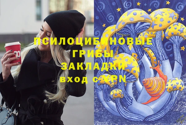 сатива Кинешма