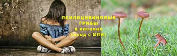 прущая мука Кодинск