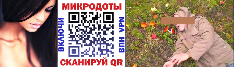 Галлюциногенные грибы Magic Shrooms  Купить где  Дмитров 